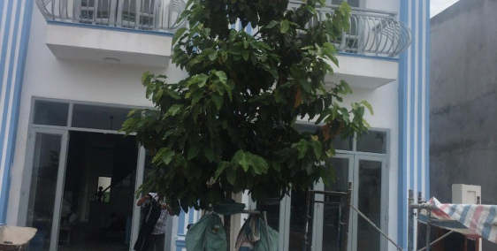 CẦN BÁN GẤP 100M2 FULL THỔ CƯ TẠI TRUNG TÂM KTĐC VSIP2, KẾ BÊN LÀ VÀNH ĐAI 4.