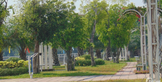 thu vủ đổi mới chỉ có ở VietSing Phú Chánh