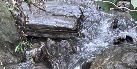 Bán đất nền nghỉ dưỡng khu săn mây bậc nhất tại Y Tý