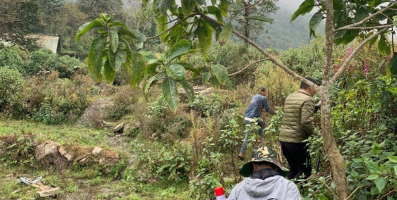 Lô đất thôn Ngải Trồ, trung trâm Y Tý. Diện tích 1215m2