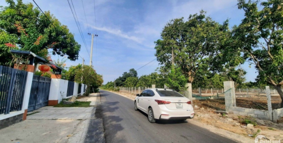 KHÁCH CẦN TIỀN BÁN NHANH LÔ ĐẤT GIÁ SIÊU MỀN TẠI CAM HẢI TÂY- CAM LÂM