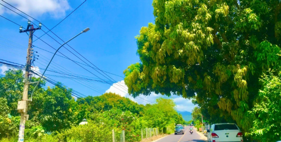 Bán lô đất góc Đinh Tiên Hoàng - Đại Hàn,hơn 6 sào,phù hợp phân lô giá siêu rẻ.