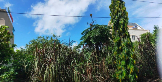 BÁN ĐẤT Biệt Thự Cẩm Bình- Sau VinCom Cẩm Phả