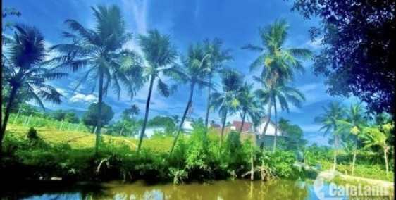 bán đât Diên Lạc view sông , khu dân cư hiện hữu , tiện ích đầy đủ