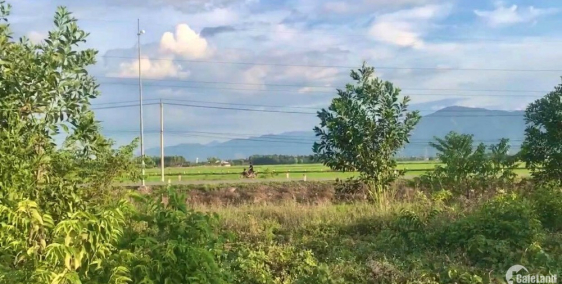 Chính Chủ Đổ Nợ Kẹt Tiền Cần Bán Đất Giá Ngộp !