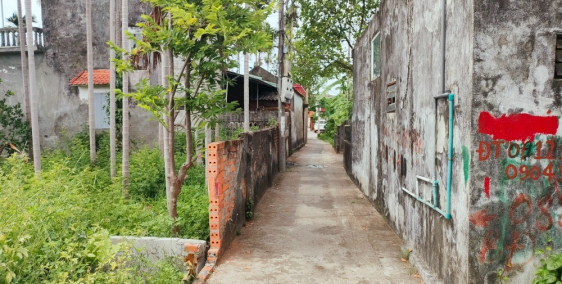 Bán đất đường Trung Nghĩa - Hợp Đức - Đồ Sơn - Hải Phòng.