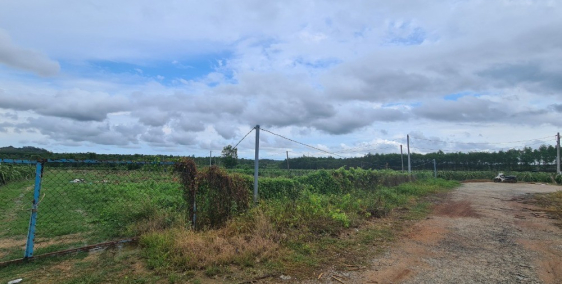 Bán Đất Mặt Tiền 4900m, 556 triệu, KP 7, T. trấn Tân Nghĩa, Bình Thuận