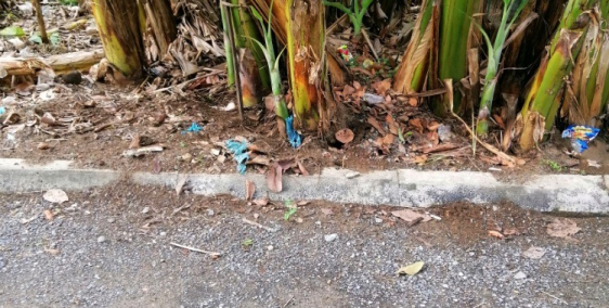 Bán đất tại Tân Thành, Lai Vung, Đồng Tháp