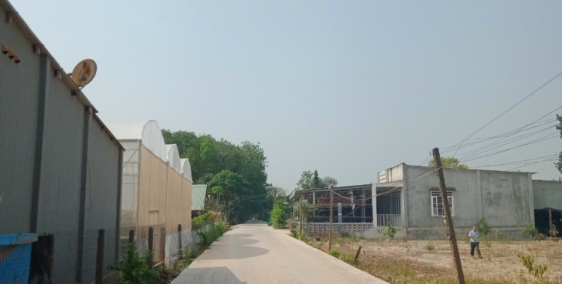 Cần bán gấp lô đất rẻ gần ngay chợ An Bình Phú Giáo giá đầu tư