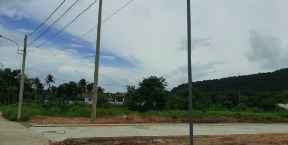 Đất Nền Chính Chủ Chuyển Nhượng Giá Cực Hấp Dẫn