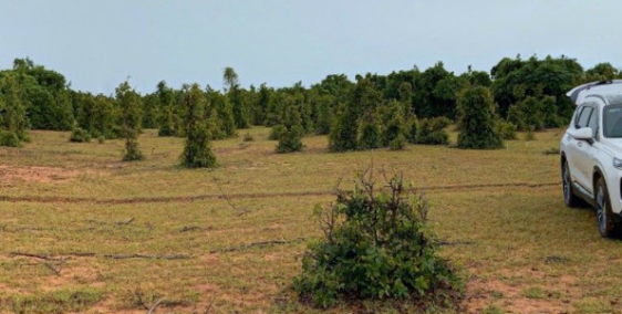 Bán 4144m2 đất nông nghiệp bình tân gần liên huyện, liên xã 538tr Lh 0385230667