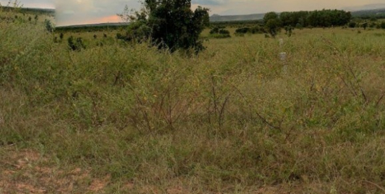 3 lô đất nông nghiệp bình tân gần công viên safari 3300ha Lh 0385230667