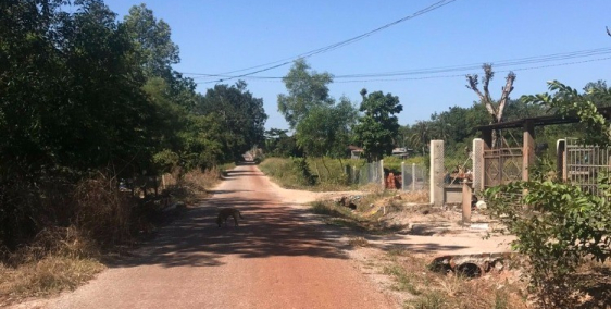 Bán Gấp - đất mùa dịch giá rẻ, cận đường nhựa liên tỉnh tại Dầu Tiếng