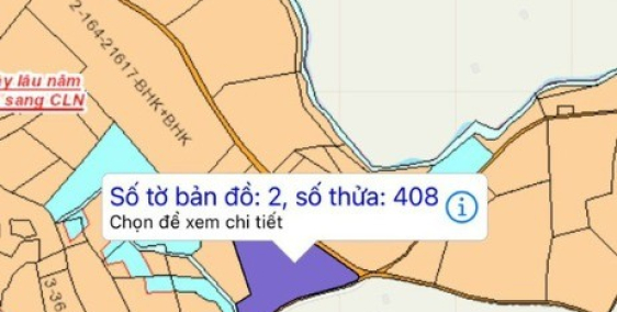 Đất Đầu tư giá rẻ thuộc xã Bình Minh, Trảng Bom