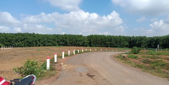 Cần bán gấp vườn view suối, mặt tiền đường nhựa