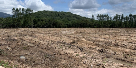 Tôi cần bán gấp lô đất để có tiền trả nợ cho con