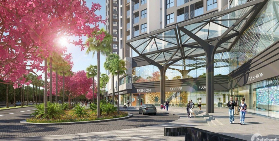 Bán căn hộ view đẹp nhất Hoang Huy