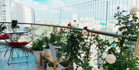 Bán căn hộ penthouse thông tầng cao cấp tại chung cư Gateway Vũng Tàu.