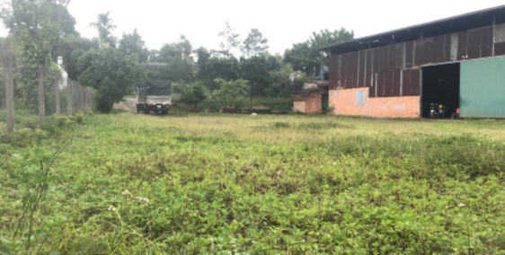 Đất chính chủ phường lộc tiến bảo lộc