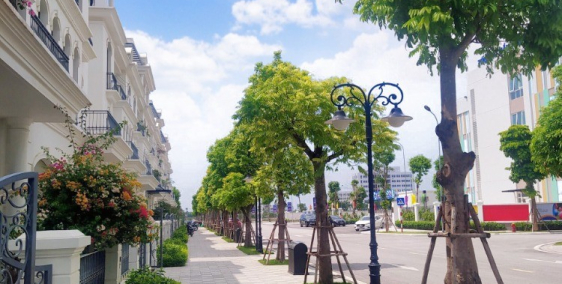 Bán căn shophouse đường Hoa hồng giá rẻ nhất dự án Vinhomes Star City Thanh Hóa