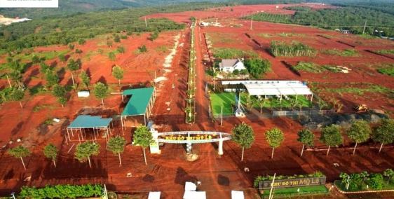 Đất nền giá rẻ  Felicia city Bình phước