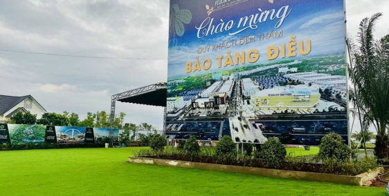 Siêu phẩm Felicia city giá đầu tư chỉ với 4tr/m2, SHR