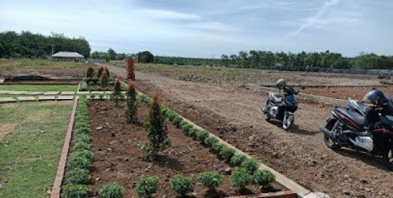 Đất vàng ven sông, chỉ từ 8 triệu/m2, sổ riêng, bao mọi thuế phí