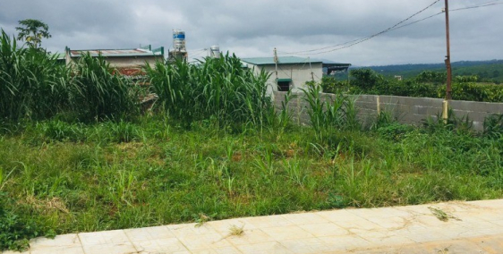 Cần Bán 110mTC Mặt tiền đường liên xã lộc an lộc đức