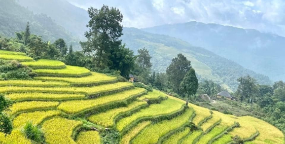 bán gấp lô đất view đẹp nhất SAPA 2- LÀO CAI thích hợp làm du lịch giá đầu tư