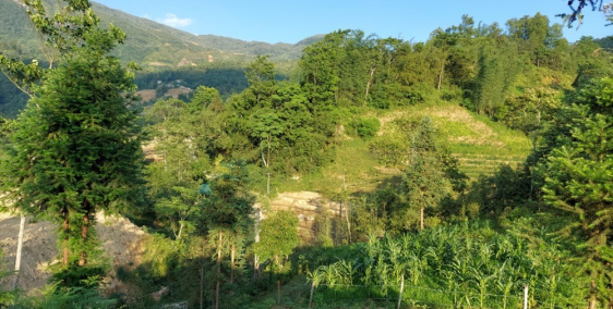 CẦN TIÈN BÁN GẤP LÔ ĐẤT VIEW ĐẸP NHẤT SÍN CHẢI - Y Tý - Lào Cai 1200m2 Giá RẺ!