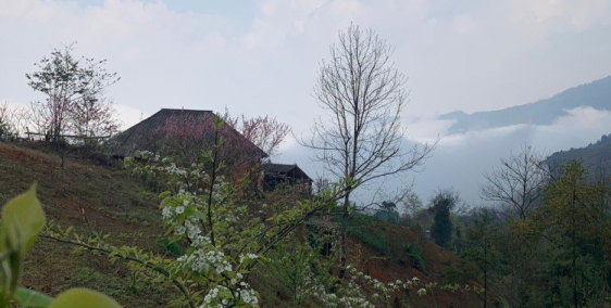 VỊ TRÍ VÀNG Y TÝ - BÁT XÁT Lào Cai -Bán Lô đất 2500m Mò Phú Chải giá cực rẻ VIEW