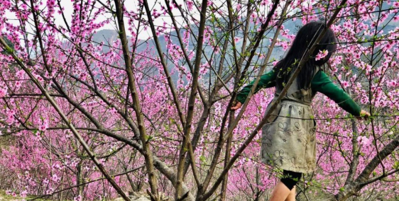 bán gấp lô đất xã y tý- lào cai mặt tiền 25m đường bê tông ô tô vào tận đất