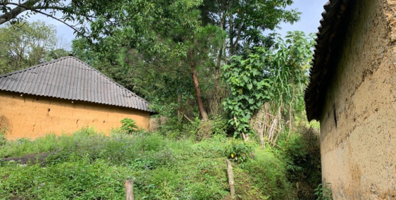 Bán mảnh đất khu du lịch văn hóa cộng đồng tại thôn Lao Chải , Y Tý