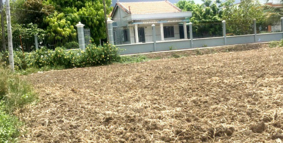 1 Tỷ 25, Ngang 25m, Bán Đất MT Tân Nghĩa, Hàm Tân, Bình Thuận - 0933444019