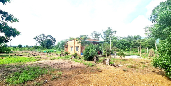 ĐẤT THỔ CƯ MT 25x59m, 3 tỷ15, Sơn Hà, Hàm Tân, Bình Thuận - 0933444019