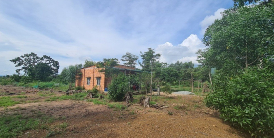 Bán Đất MT Hướng Biển 24x50m, 2 tỷ 33, Tân Nghĩa, Hàm Tân