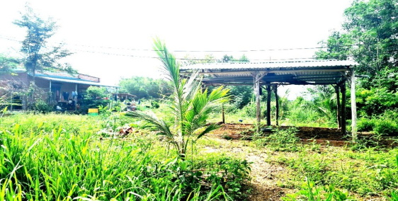 Bán Đất MT nhựa 28x56m, 2 tỷ 73, Tân Nghĩa, Hàm Tân, Bình Thuận - 0933444019