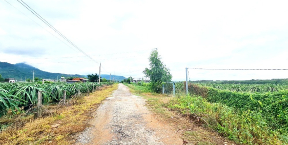 Bán Đất MT Trục Chính 21x46m, 1 tỷ 44, Tân Nghĩa, Hàm Tân