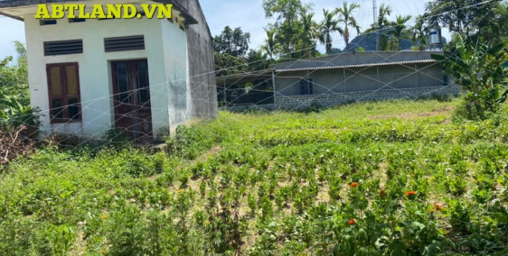 bán đất giá rẻ tại kim bôi, hòa bình