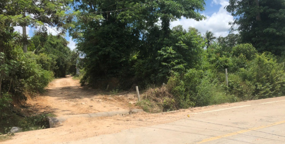 Thị trường bất động sản Phú Quốc đang hot với Bến Tràm - thanh toán linh hoạt