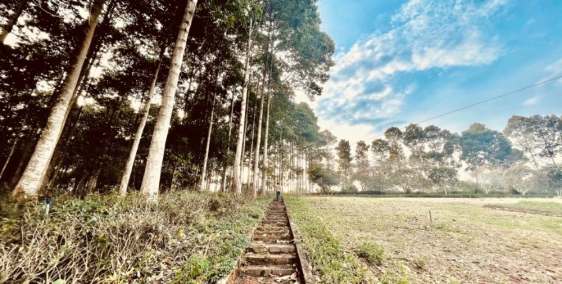 Bán đất mặt tiền DT741 giá đầu tư f0, cơ hội vàng đầu tư mùa dịch