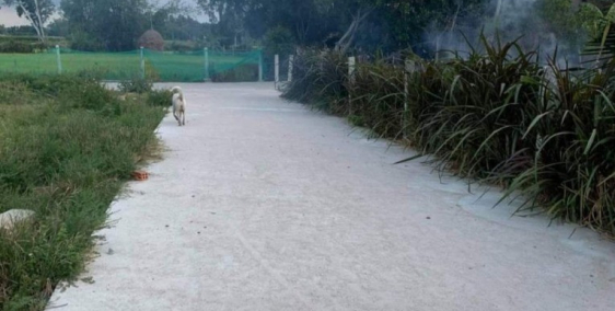 Bình nguyên thăng bình - gần bv thăng hoa