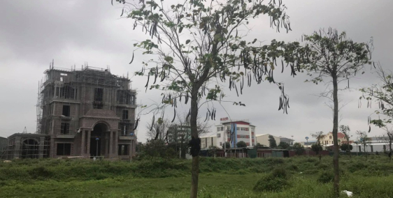 Bán đất TMDV lâu dài khu Trường Thịnh, TP HD, 600m2, mt 20m, giá t