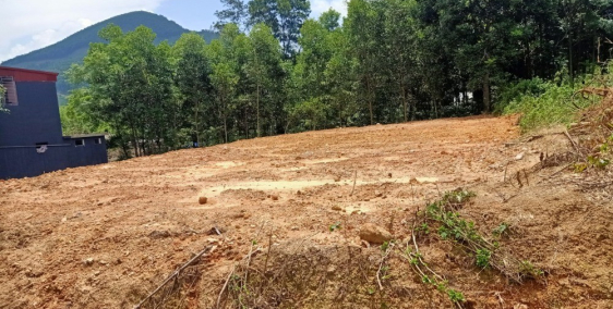 Chính Chủ Bán Gấp 2 Lô Đất LK Giá Rẻ Có Sổ Đỏ Huyện Yên Lập Phú Thọ 495m2