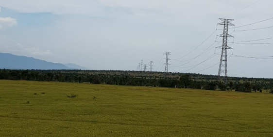 Chỉ 1,3 tỷ có ngay 1hecta đất hoà thắng gần đường nhựa ĐT 716 Lh 0385230667