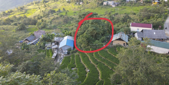 Bán lô đất giá rẻ 194m2 ngay giữa trung tâm..Y tý - bát xát - Lào Cai ..