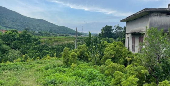 Đất Cạnh Nghỉ Dưỡng FLC Bến Tắm Trại Gạo Chí Linh Hải Dương