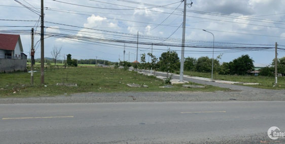 Đất Nền Biệt Thự Mặt Tiền Lê Trọng Tấn, BRVT