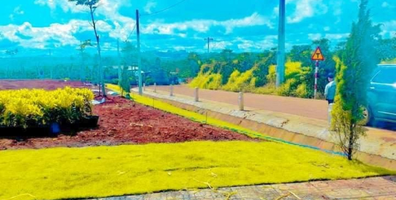 Bán Đất Nghỉ Dưỡng BUNGALOW HILL Xã Đambri-TP Bảo Lộc