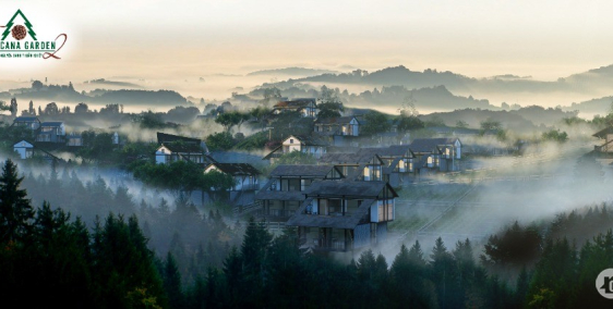 Tropicana Garden khu sinh thái kết hợp bất động sản, đẩu tư sinh lời, nghỉ duong